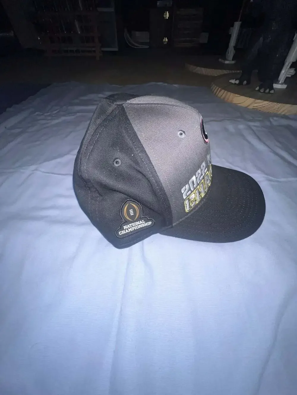 Nike Georgia Bulldogs 2022 National Champions Locker Room Adjustable Hat
